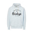 University of Okoboji Flock Hoodie