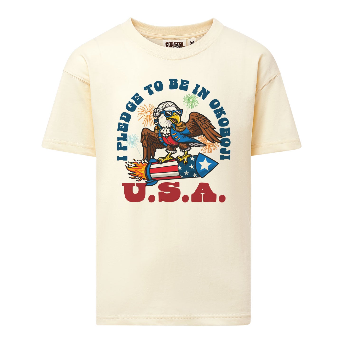 I Pledge (Youth) USA Tee