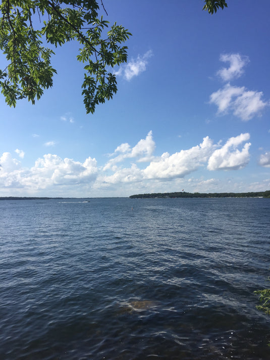 The Lake Campus